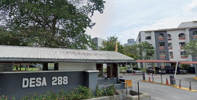 Desa 288 1