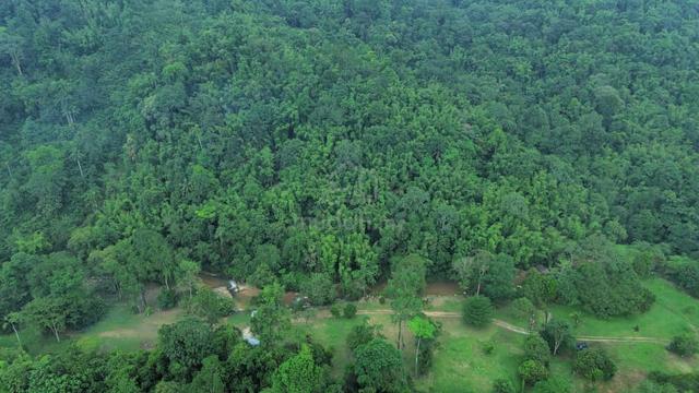 128 Acre Agriculture Land, Jalan Ulu Yam Batu Caves Batang Kali 1