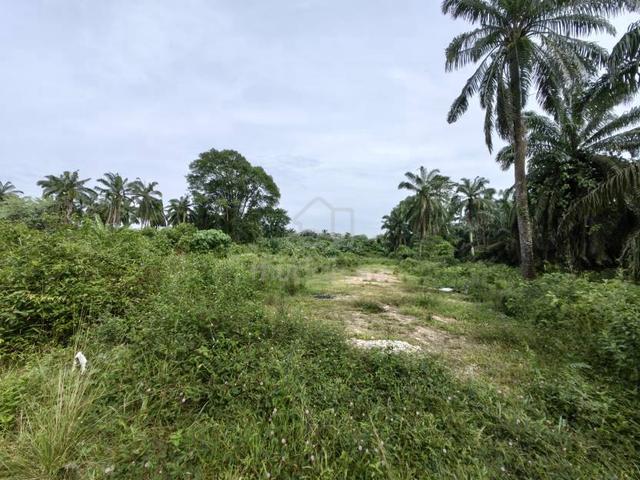 1.8 Acres Agriculture Land Kg Revolusi Hijau Dengkil Sepang 1