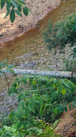 TANAH KOSONG TEPI sungai UNTUK dijual 1