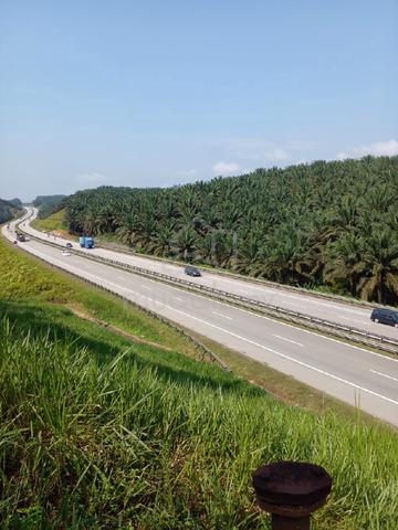 FACING HIGHWAY cheap ! Palm Oil land for sale. 1