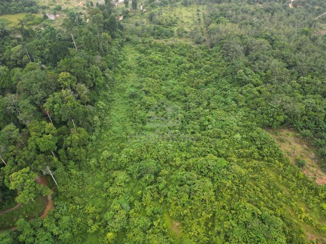 Tanah Pertanian untuk dijual 1