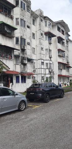 Palma Puteri 1