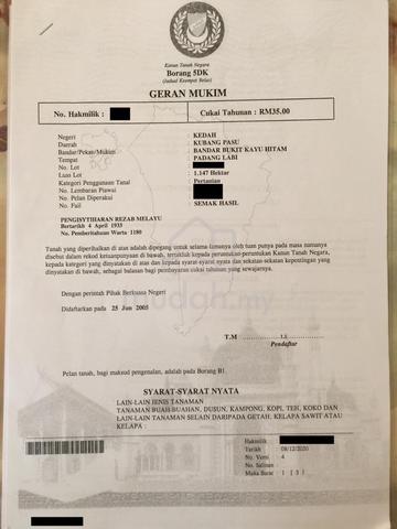 Kedah Changlun Agricultural Freehold Land For Sale 1