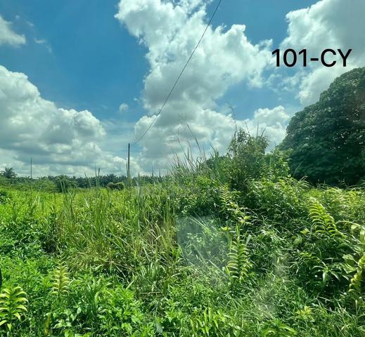Johan Setia Klang nr Sijangkang 2acre Zoning industrial land for sale 1