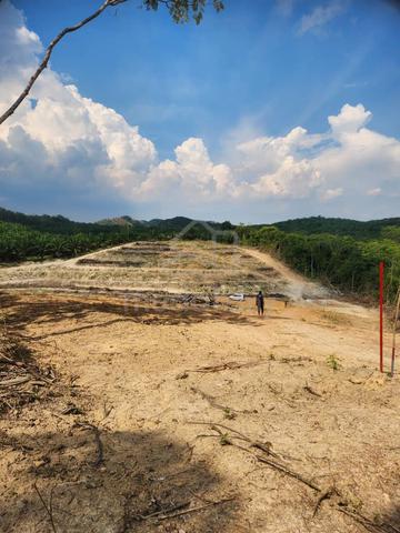 Melaka Alor Gajah Agricultural Freehold Land For Sale 1