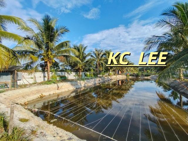 3.46 Acres Fish Pond For SALE @ Bagan Serai , Perak 1