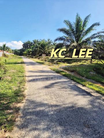 10.98 Acres Agricultural Land For SALE @ Selama , Kedah 1