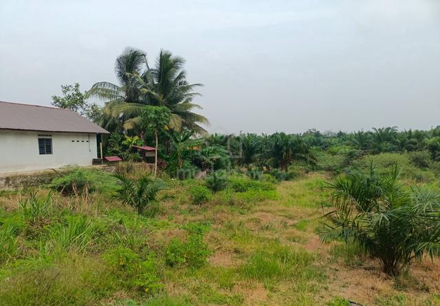 2 Ekar Tanah Kosong Kg Puting Buloh Kasap Segamat Johor 1