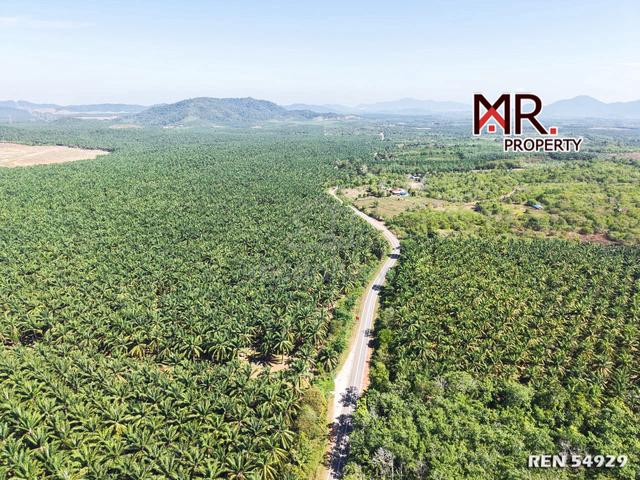 NEAR MAIN ROAD Industrial Land Bukit Selambau FOR SALE 1