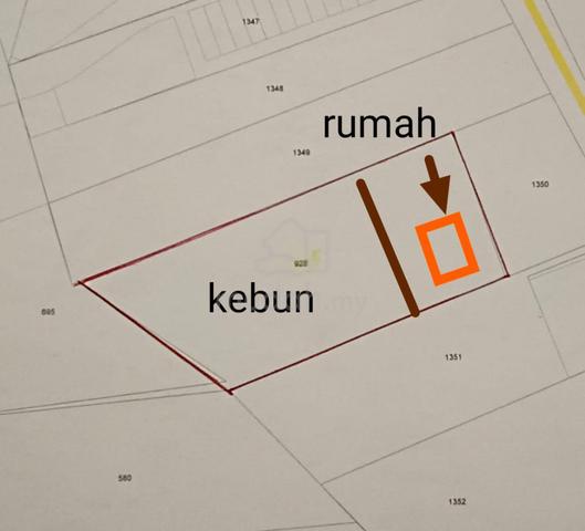 Dusun Durian + Banglo Tepi Rumah For Sale 1