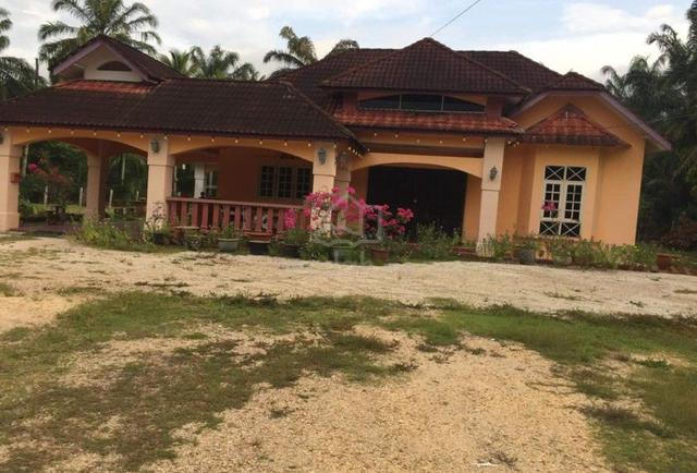 Landed House 1