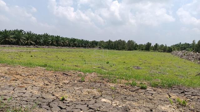 beautiful flat empty land for sale 1