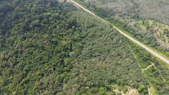 5.25 Acres Rubber Land Kemuning Alor Gajah Melaka 1