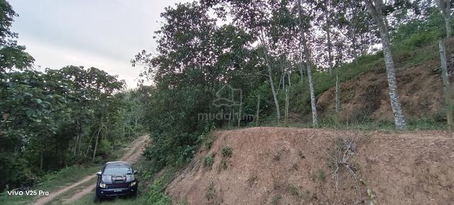 Tanah pertanian untuk dijual Lendu Alor Gajah 1