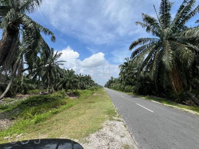 Agricultural Land, Darat Batu, Jalan Kantan, Kuala Langat, Banting 1