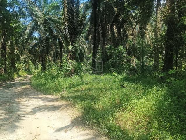 Bentong Agriculture 1.3 Acres Roadside 1