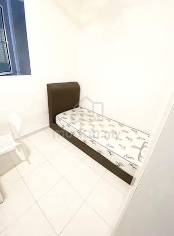 Imperial Grande Single Room Condo Sungai Ara Mix Gender Unit 1