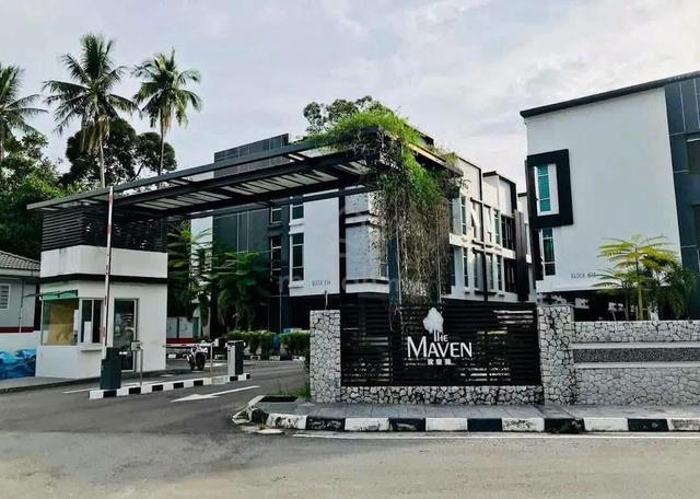 The Maven 1