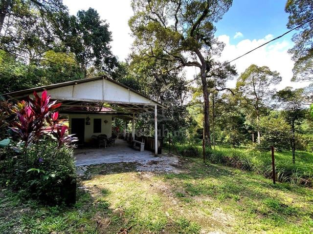 Tanah Pertanian, Batu 17 Dusun Tua Hulu Langat, Selangor 1
