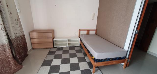 [Female Only} Medium Room at Cova Suites 1