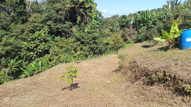 Tanah Pertanian di Pasir Bayam Raub untuk dijual 1