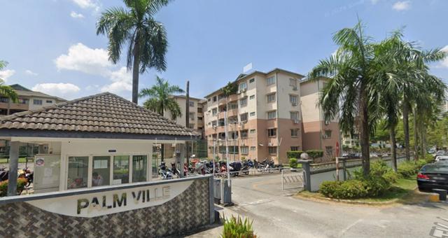 Palm Ville 1