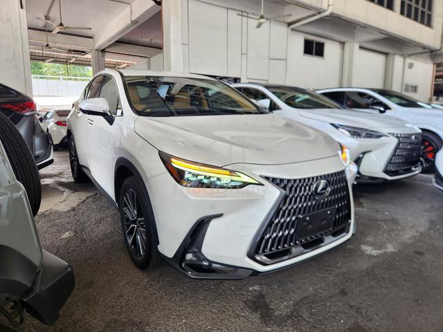 2023 Lexus NX250 Luxury FULL SPEC P/Roof HUD 360 - 1