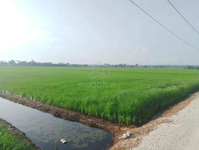 Beli Tanah Terus boleh letak 9 nama dalam geran! Hakmilik Kekal 1