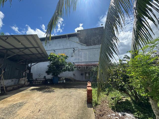 Beaufort | Oil Palm | Bird House Nest 1