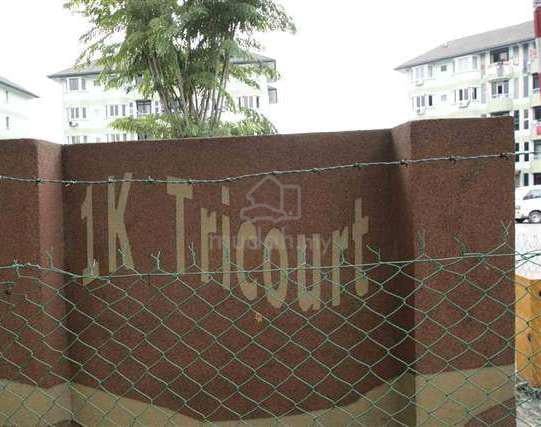 1K Tricourt 1