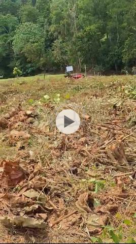 Kota Damansara Residential bungalow land Rimba Riang mid lot Seksyen 9 1