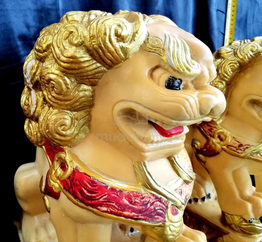 Carousel Image