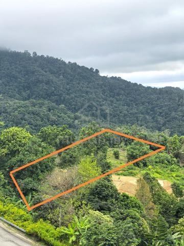 Kokol Hill Land For Rent 1