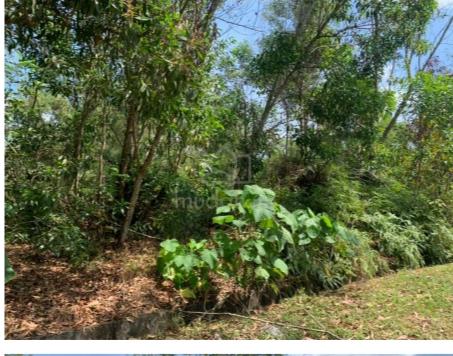 Land 1.6 acre ,status industrial, Taboh Naning, Alor Gajah, Melaka 1