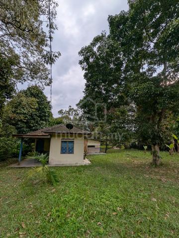 Tanah Dusun Nilai Negeri Sembilan 4