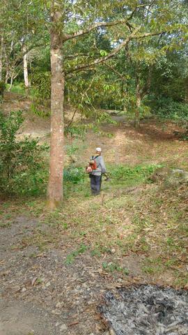 For Sale: Kebun Buah2an siap pondok di Bukit Tamu, Batang Kali, SEL 1