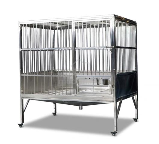 Carousel Image Selected