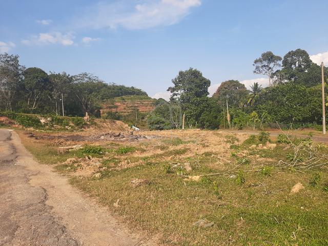 Tanah Tepi Jalan Untuk Disewakan 1