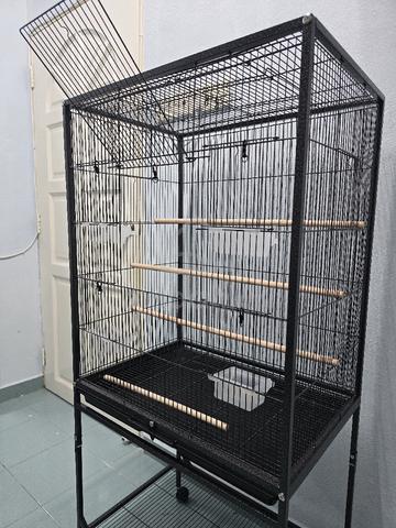 Carousel Image