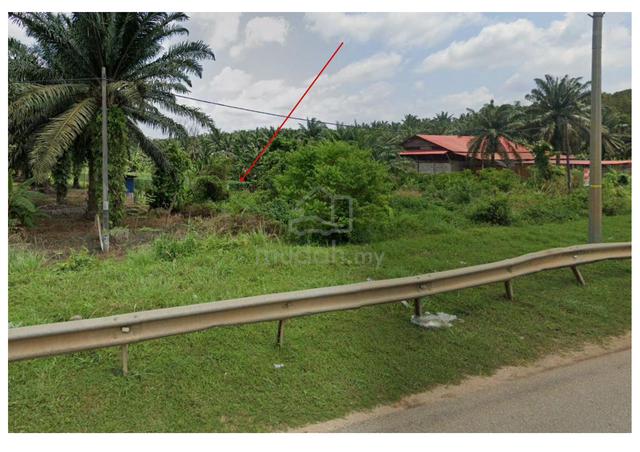 9.9 acre Agricultural with Potential Development at Gambang, Pahang 1
