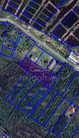 Tanah Pertanian untuk dijual 1