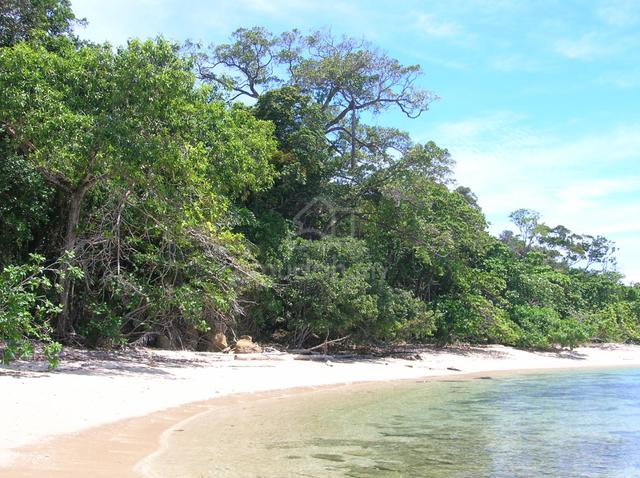 Native Title Seaside Land Kampung Tajau Laut Kudat 3