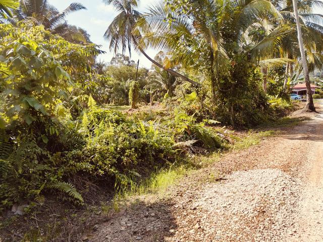 [FREEHOLD] Tanah Pertanian High Investment Potential - Near JSEZ & PTP 1
