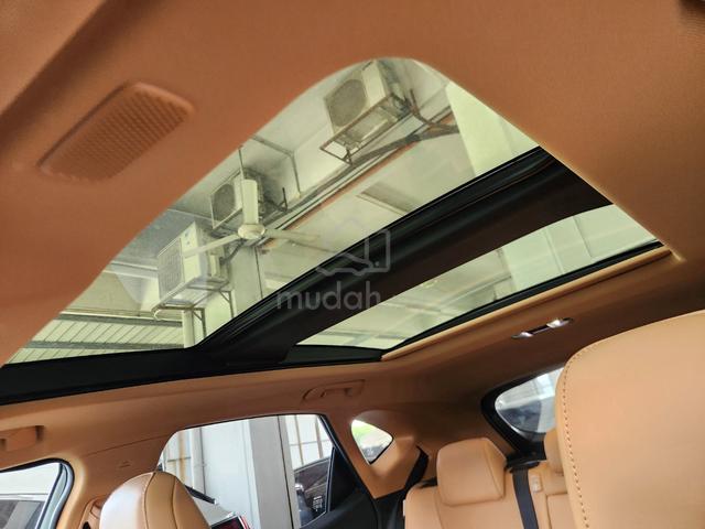 2023 Lexus NX250 Luxury FULL SPEC P/Roof HUD 360 - 4