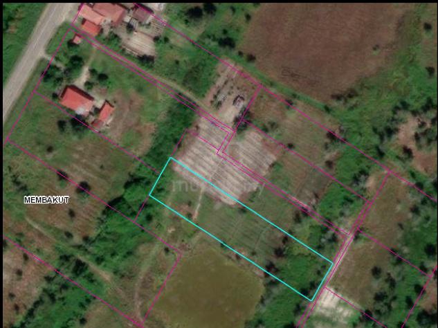 Flat Land | Kg Kuala Mandahan | Papar | Pan Borneo 1