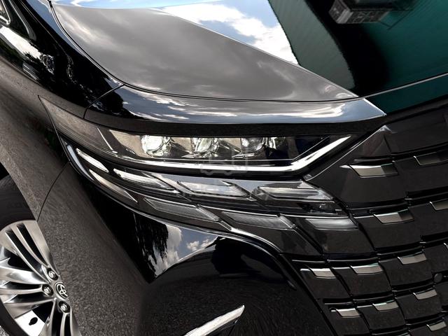 Toyota ALPHARD 2.5 Z HUD SideStep JBL RoofMonitor - 3