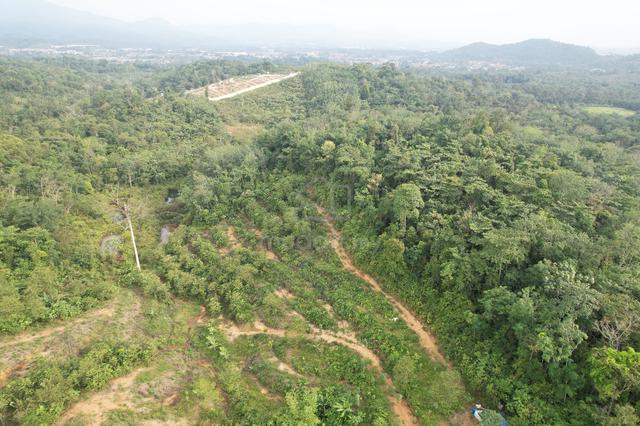 [ FREEHOLD ] Batang Kali , Rawang , Rasa , Agriculture Land For Sale 1