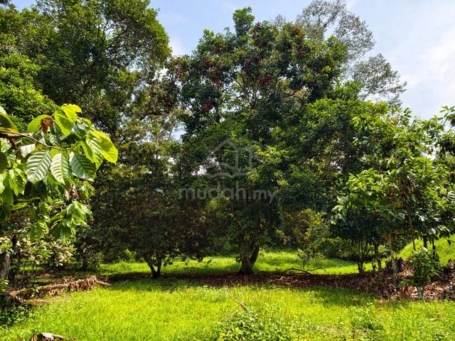 Hulu Langat Batu 21 Sg. Lui Dusun Durian 1