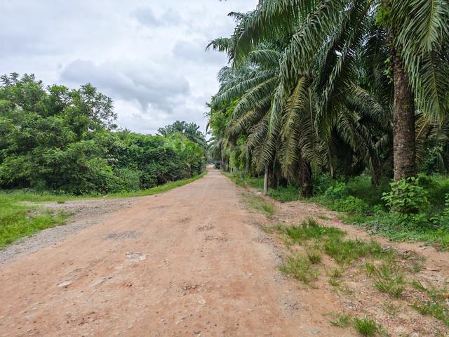 Bahau Negeri Sembilan 41 Acres Freehold Agriculture Land 1